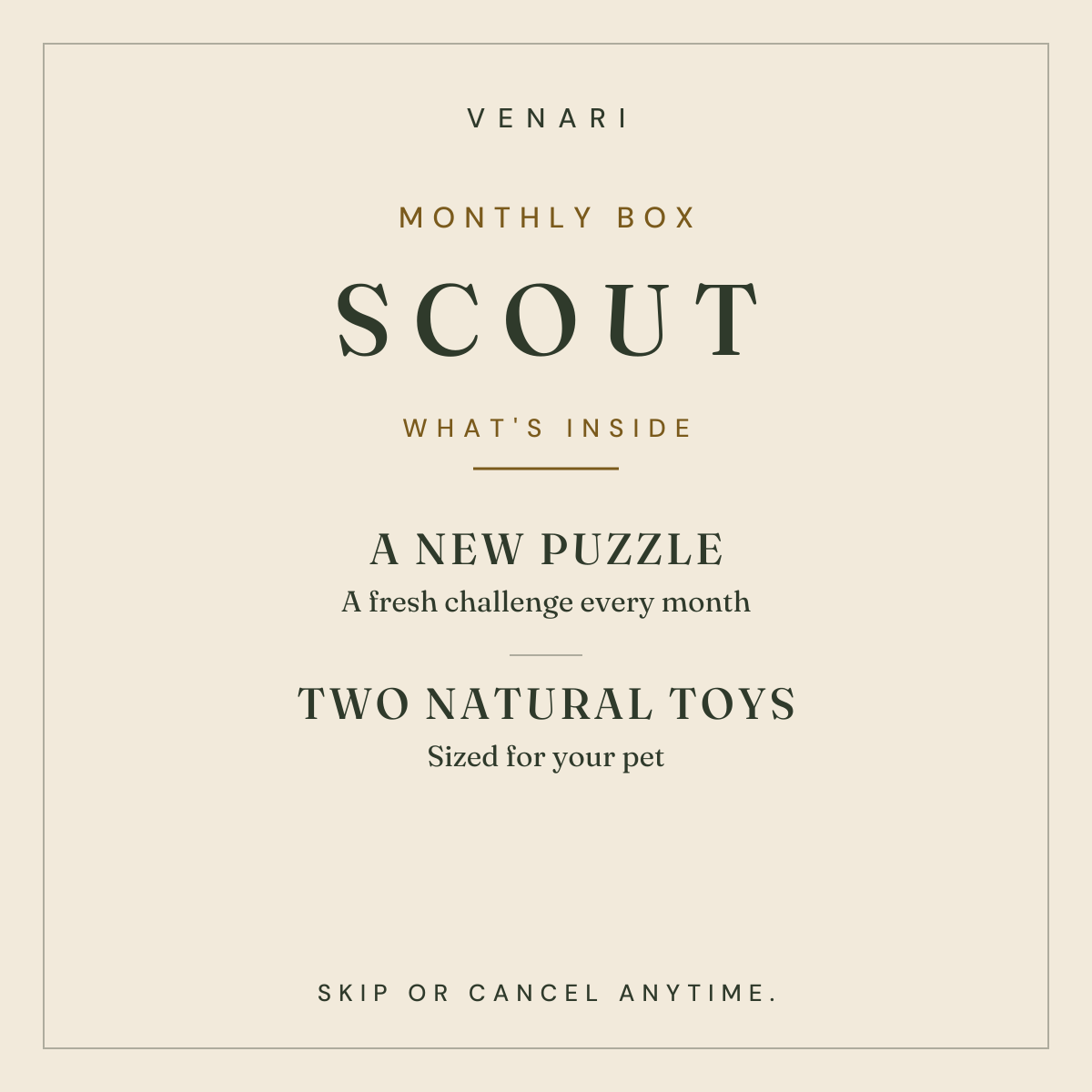 SCOUT BOX
