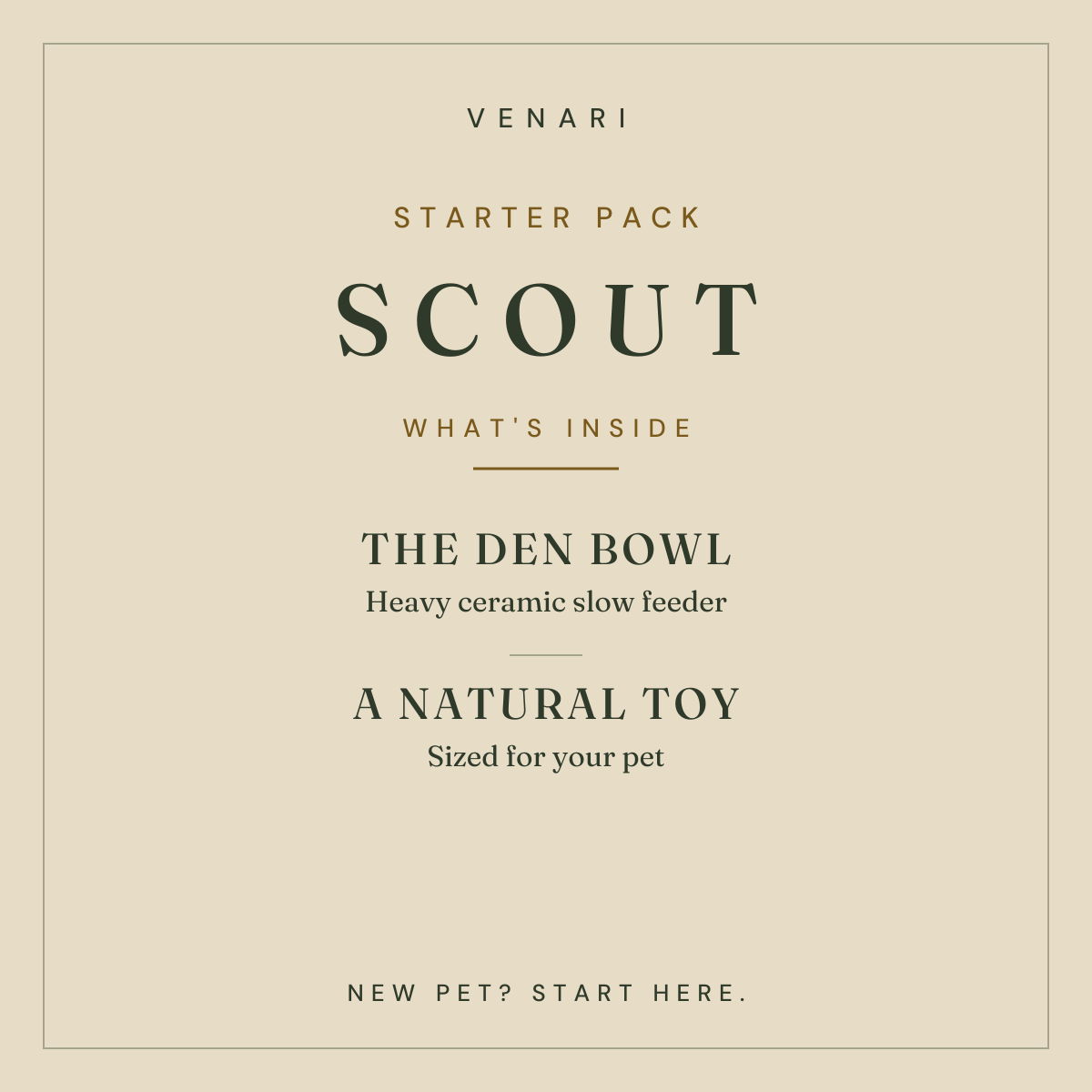 SCOUT STARTER